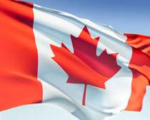 Canadian DVD Rental Websites image