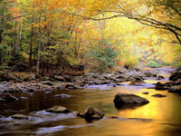 Teach Yourself Photography Guides image