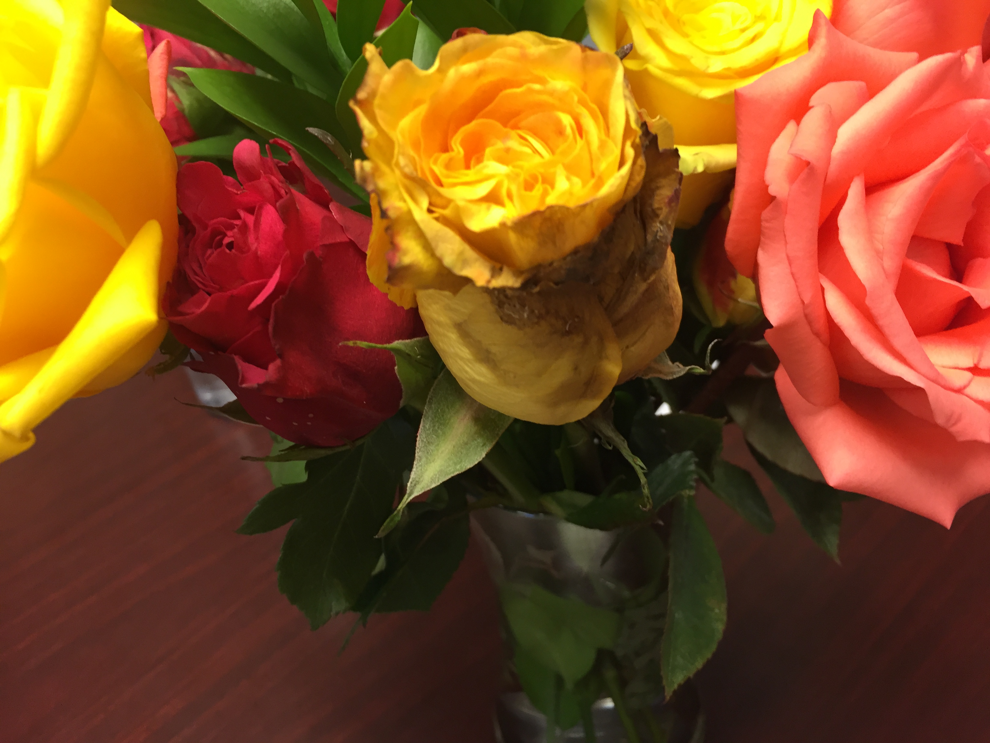 Rotten flowers User Review of Just Flowers