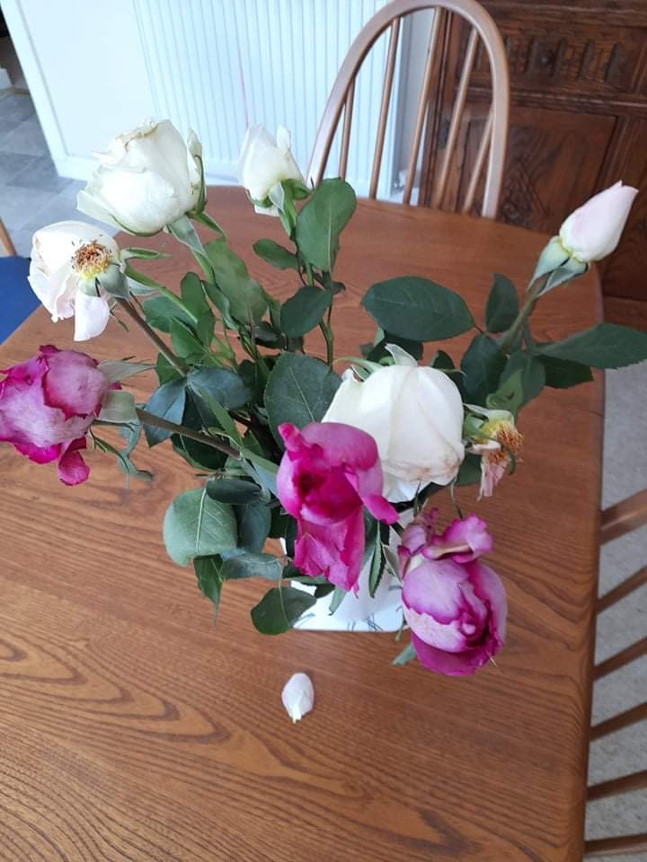 Marks and Spencer Flowers User Reviews